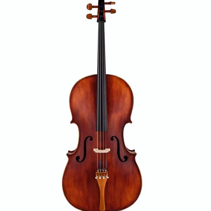 Test, Avis du violoncelle Roth & Junius Europe Orchestra Cello An/Bw