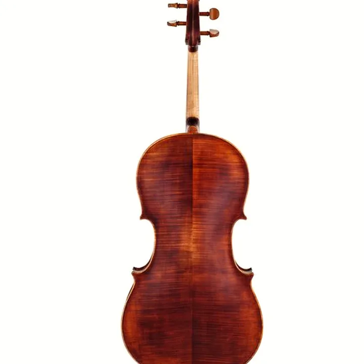 Test, Avis du violoncelle Roth & Junius Europe Orchestra Cello An/Bw