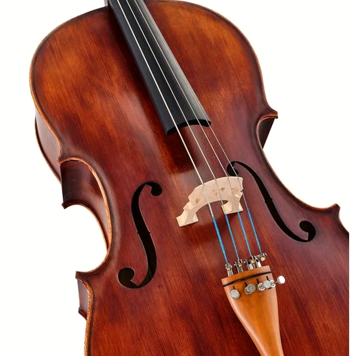 Test, Avis du violoncelle Roth & Junius Europe Orchestra Cello An/Bw