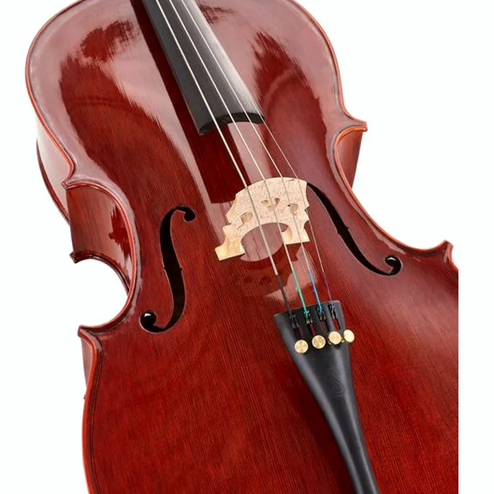 Test, Avis du violoncelle Stentor SR1586 Cello Conservatoire 1/2