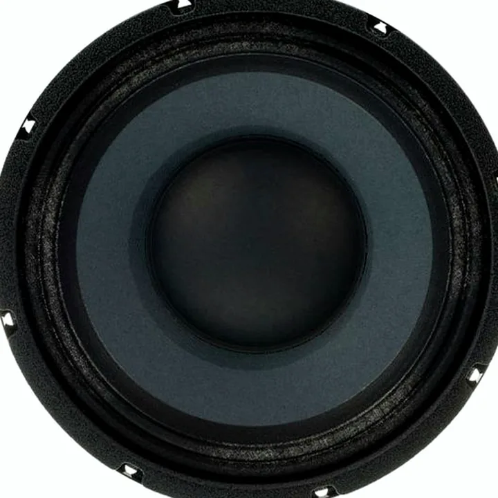 Test & Avis : Eminence Delta-10 A