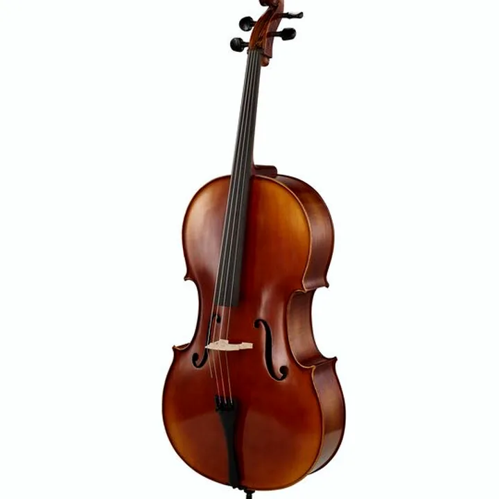 Test, Avis : Gewa Allegro VC1 Cello 1/16