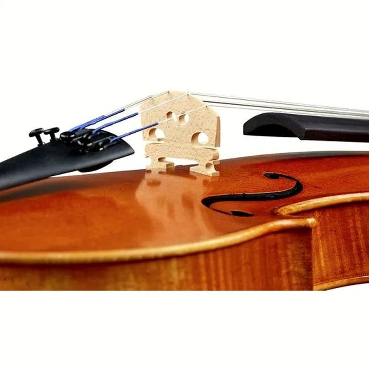 Test & Avis : Karl Höfner H11E-VA Viola 15″