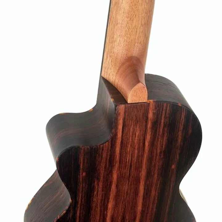 Test, Avis : Ortega RGL5EB-CE Guitarlele