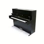 Test & Avis piano Blüthner Model D