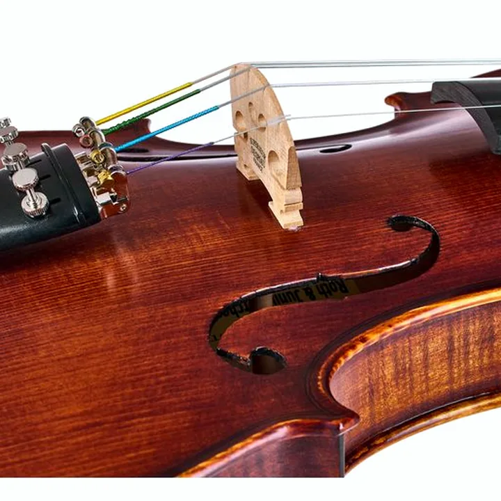 Test & Avis : Roth & Junius Europe Orchestra Violin Set SE