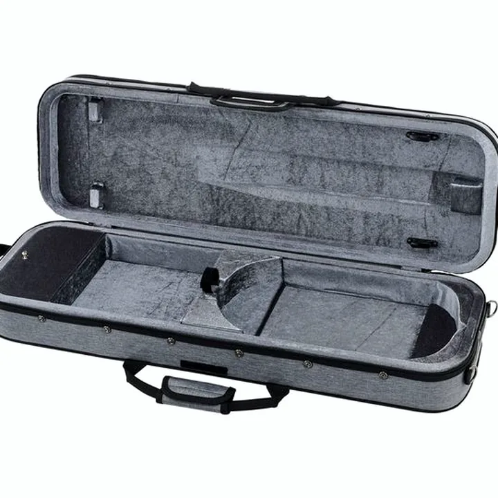 Test & Avis : Roth & Junius Europe Orchestra Violin Set SE