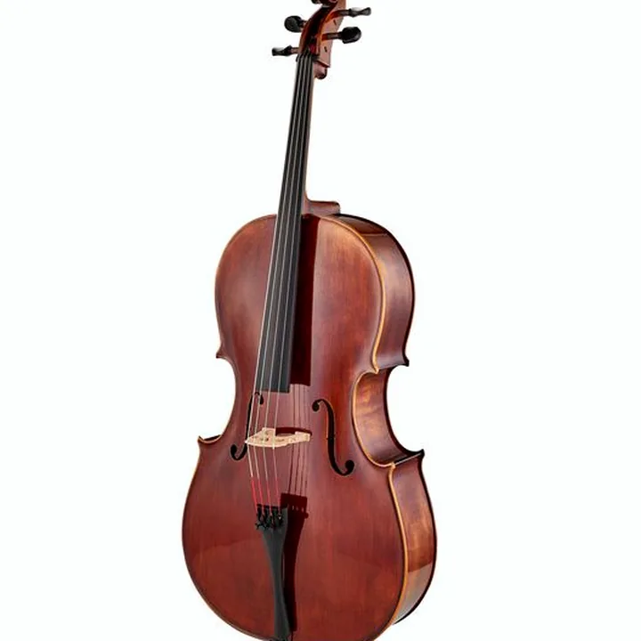Test, Avis : Scala Vilagio Bohemia Student Cello 7/8