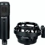 Test, Avis : Sony C-80