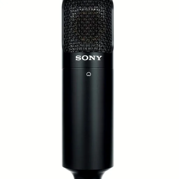 Test, Avis : Sony C-80