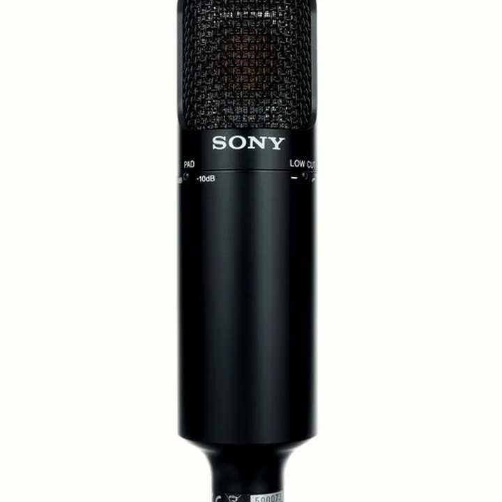 Test, Avis : Sony C-80