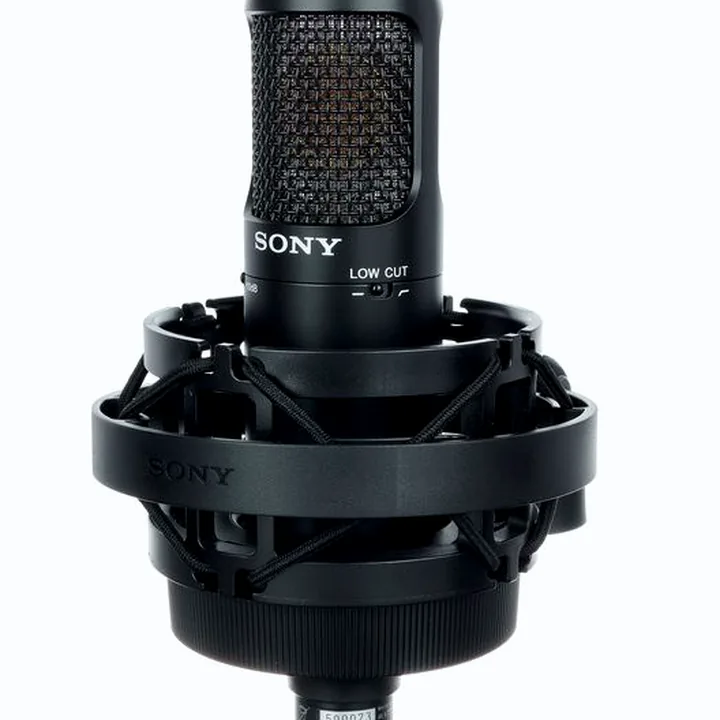 Test, Avis : Sony C-80