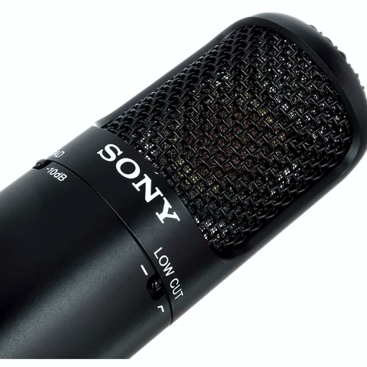 Test, Avis : Sony C-80