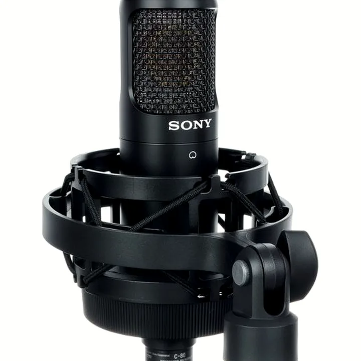 Test, Avis : Sony C-80