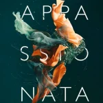 Test, Avis : Spitfire Audio Appassionata Strings
