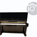 Test, Avis : Steinway & Sons Piano used