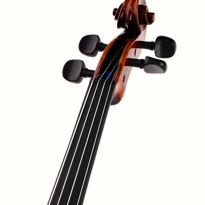 Test, Avis : Stentor SR1876 Elysia Viola 15,5″