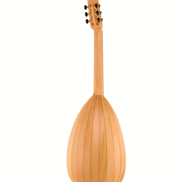 Test, Avis : Thomann Lute Guitar