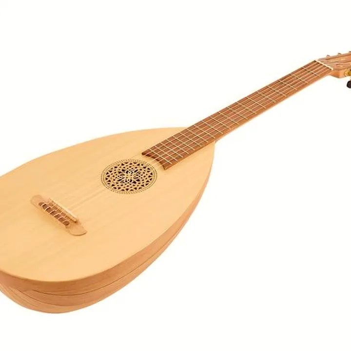 Test, Avis : Thomann Lute Guitar