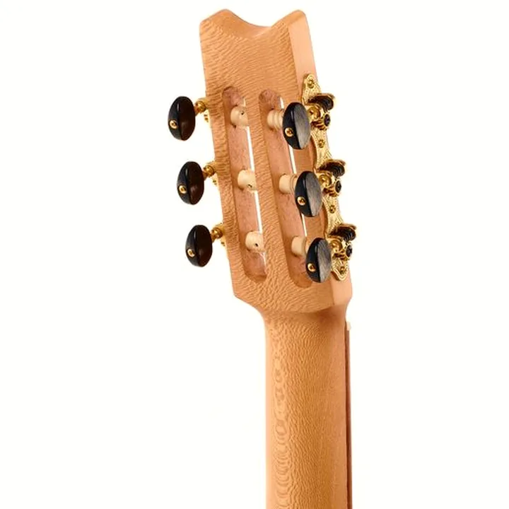 Test, Avis : Thomann Lute Guitar