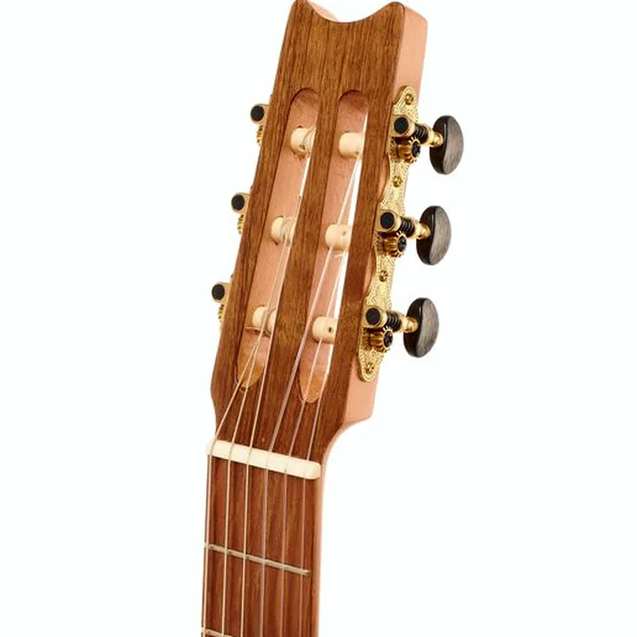 Test, Avis : Thomann Lute Guitar