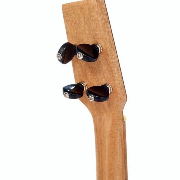 Test, Avis : Thomann Ukulele Lute Baritone