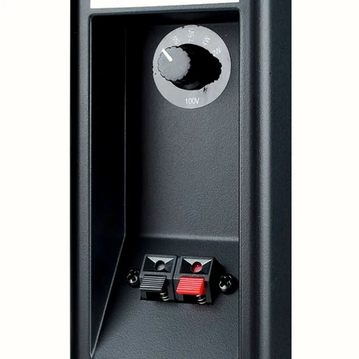Test & Avis : Visaton WB10 Black