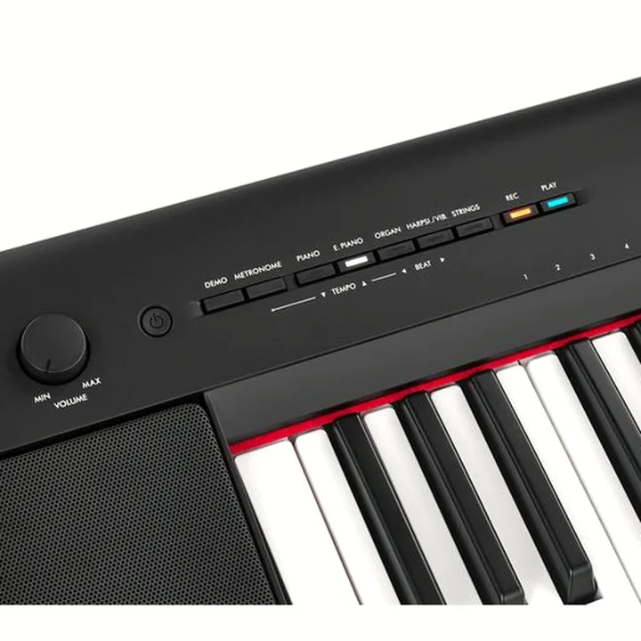 Test, Avis : Yamaha NP-35 Piaggero Black