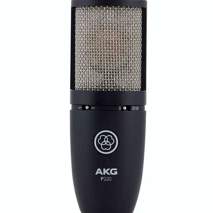 Test et Avis : AKG P220