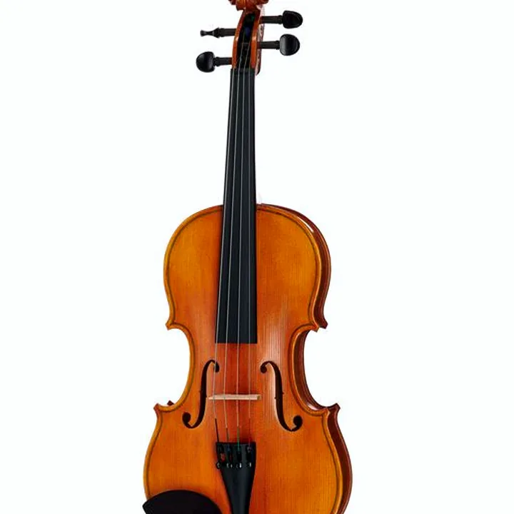 Test et Avis : Alfred Stingl by Höfner AS-170-VA Viola Set 14″
