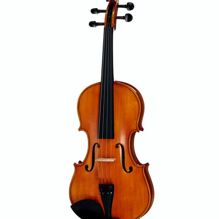 Test et Avis : Alfred Stingl by Höfner AS-170-VA Viola Set 15″
