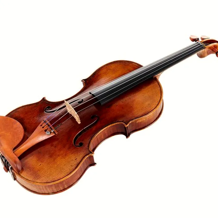 Test & Avis du violon Andrea Varazzani Viol. Mod. Paganini`s Cannon