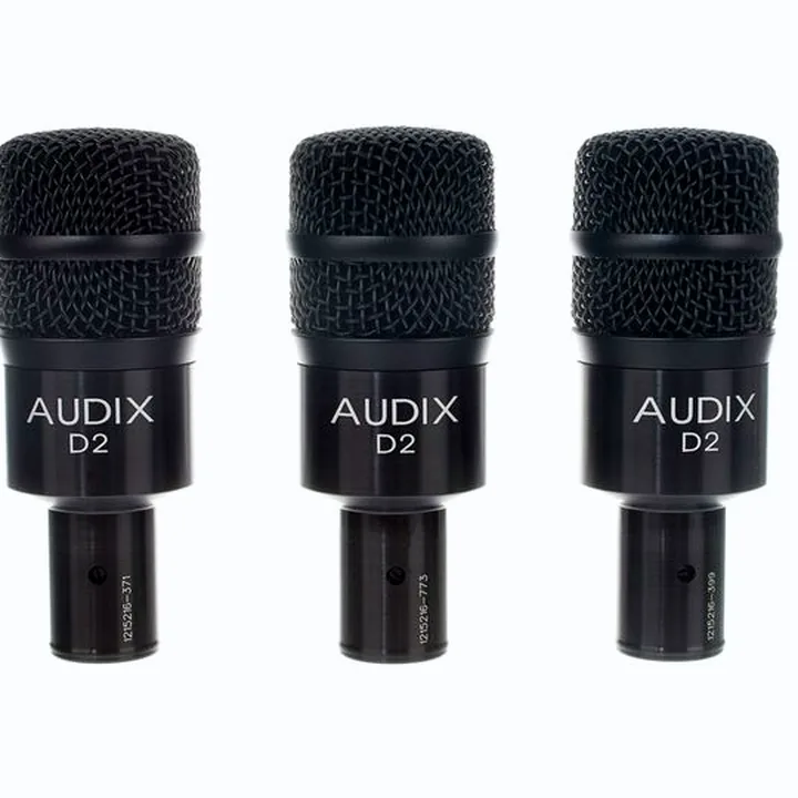 Test et Avis : Audix D2-Trio
