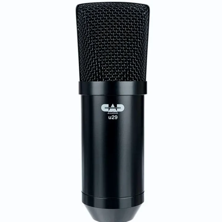 Test et Avis : CAD Audio U29