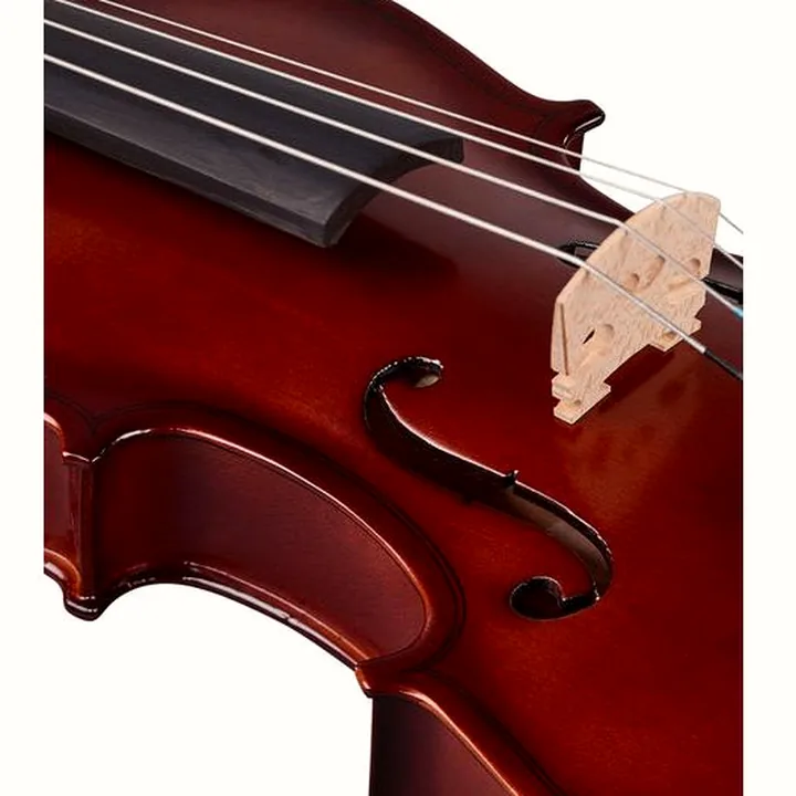 Test et Avis de l’alto Hidersine Uno Viola Set 12″