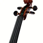 Violon Gewa Maestro 26 Stradivari Violin Test, Avis et Comparatif