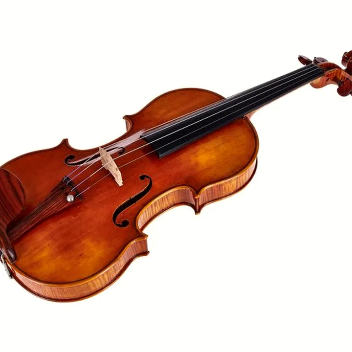 Violon Scala Vilagio R.O. Stradivari Viotti 1709 , Test, Avis et Comparatif