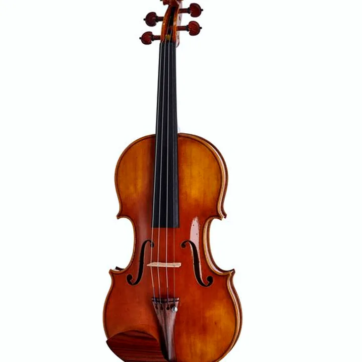 Violon Scala Vilagio R.O. Stradivari Viotti 1709 , Test, Avis et Comparatif