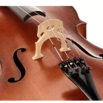 Test et Avis du violoncelle Karl Höfner H4/5-BG-C Guadagnini Cello 4/4