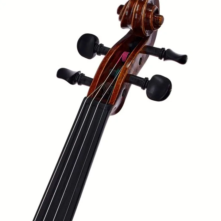 Test et Avis : Franz Sandner Concerto 800 Strad. Violin 4/4