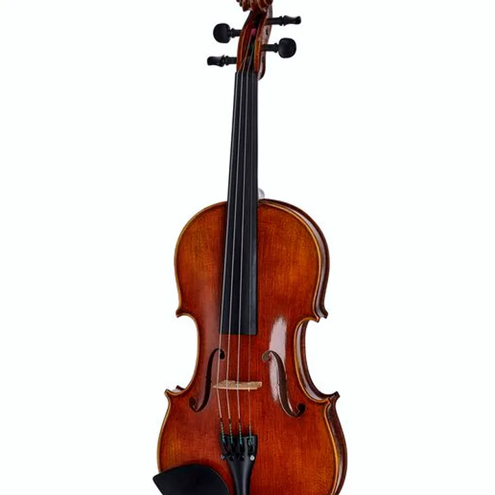 Test et Avis : Franz Sandner Concerto 800 Strad. Violin 4/4