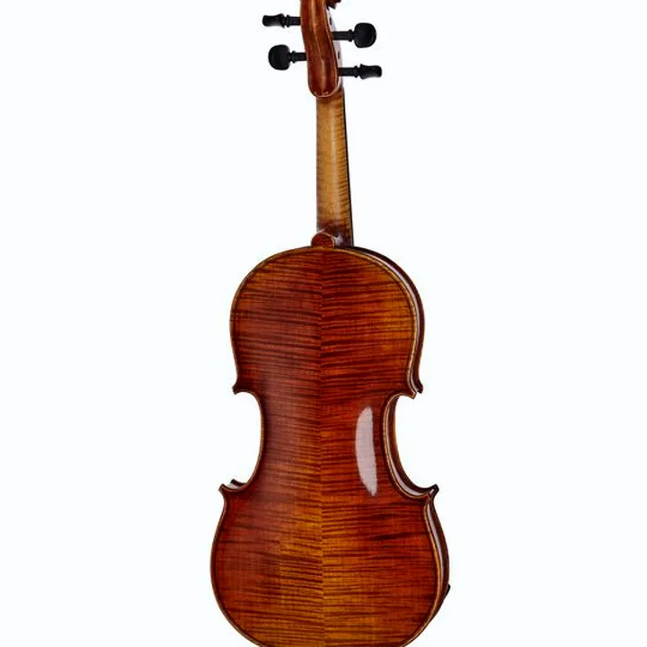 Test et Avis : Franz Sandner Concerto 800 Strad. Violin 4/4