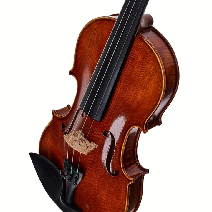 Test et Avis : Franz Sandner Concerto 800 Strad. Violin 4/4
