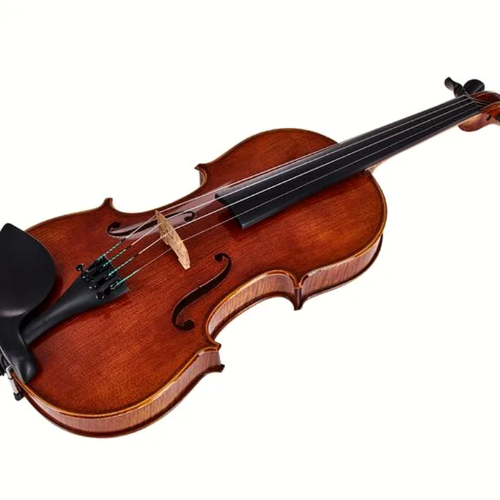 Test et Avis : Franz Sandner Concerto 800 Strad. Violin 4/4