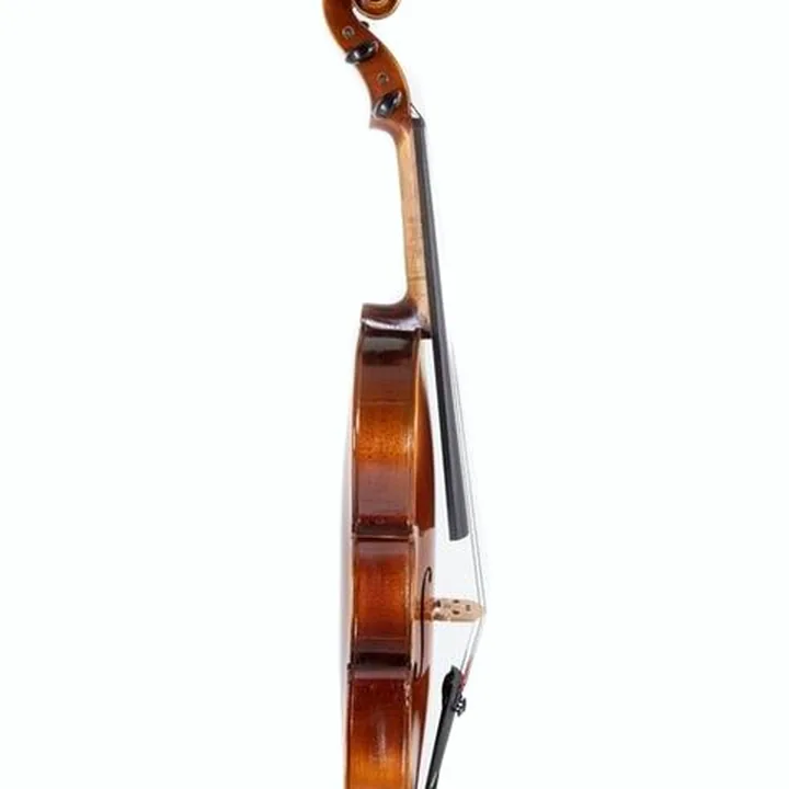 Test et Avis : Gewa Allegro VA1 Viola 14″