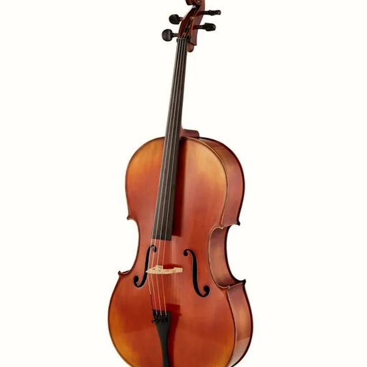 Test et Avis : Gewa Allegro VC1 A Cello 3/4