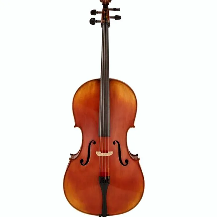 Test et Avis : Gewa Allegro VC1 A Cello 3/4