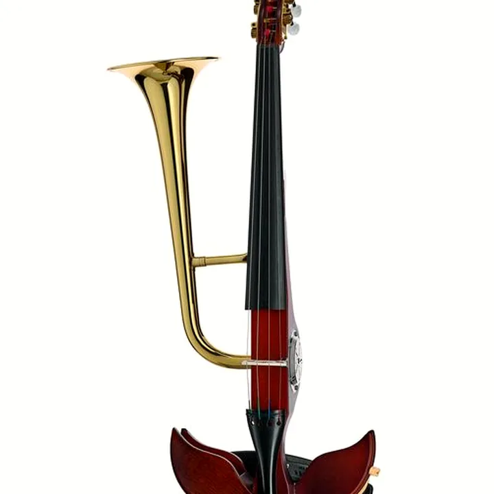 Test et Avis : Roth & Junius Stroh Violin New Edition 4/4