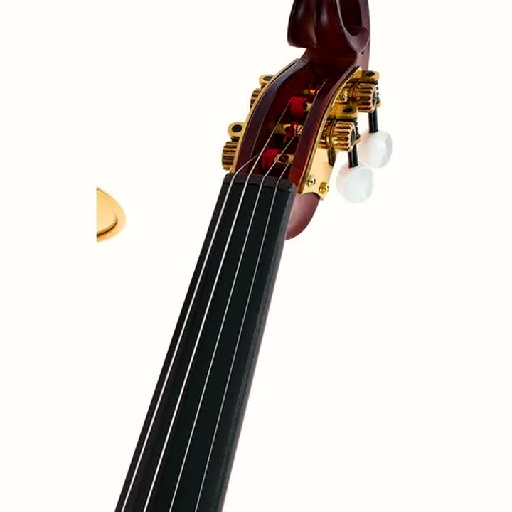 Test et Avis : Roth & Junius Stroh Violin New Edition 4/4