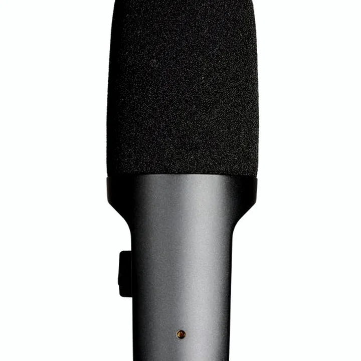 Test et Avis : SE Electronics DynaCaster DCM6